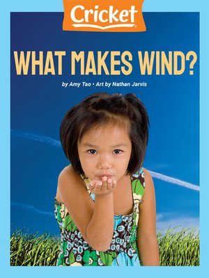 cover image of What Makes Wind?